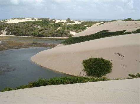 Parque das Dunas: Uma Maravilha Natural para Explorar com Emoção!