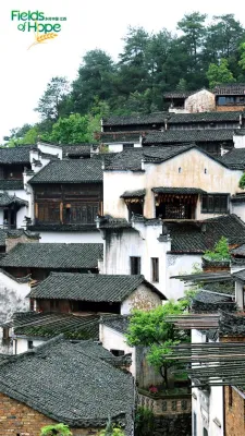 Monte Wuyuan – Um Tesouro Natural com Vistas de Infinitos Montes e Cumes Encantadores!