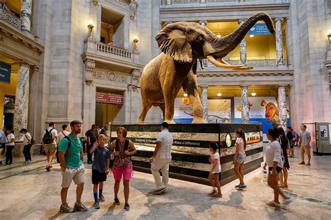 O Museu de História Natural de Buffalo: Uma Jornada Fascinante Através do Tempo e da Vida!