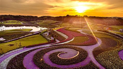 Parque das Flores de Luzhou: Uma Explosão Floral e Relaxamento Total em um Jardim Botânico!